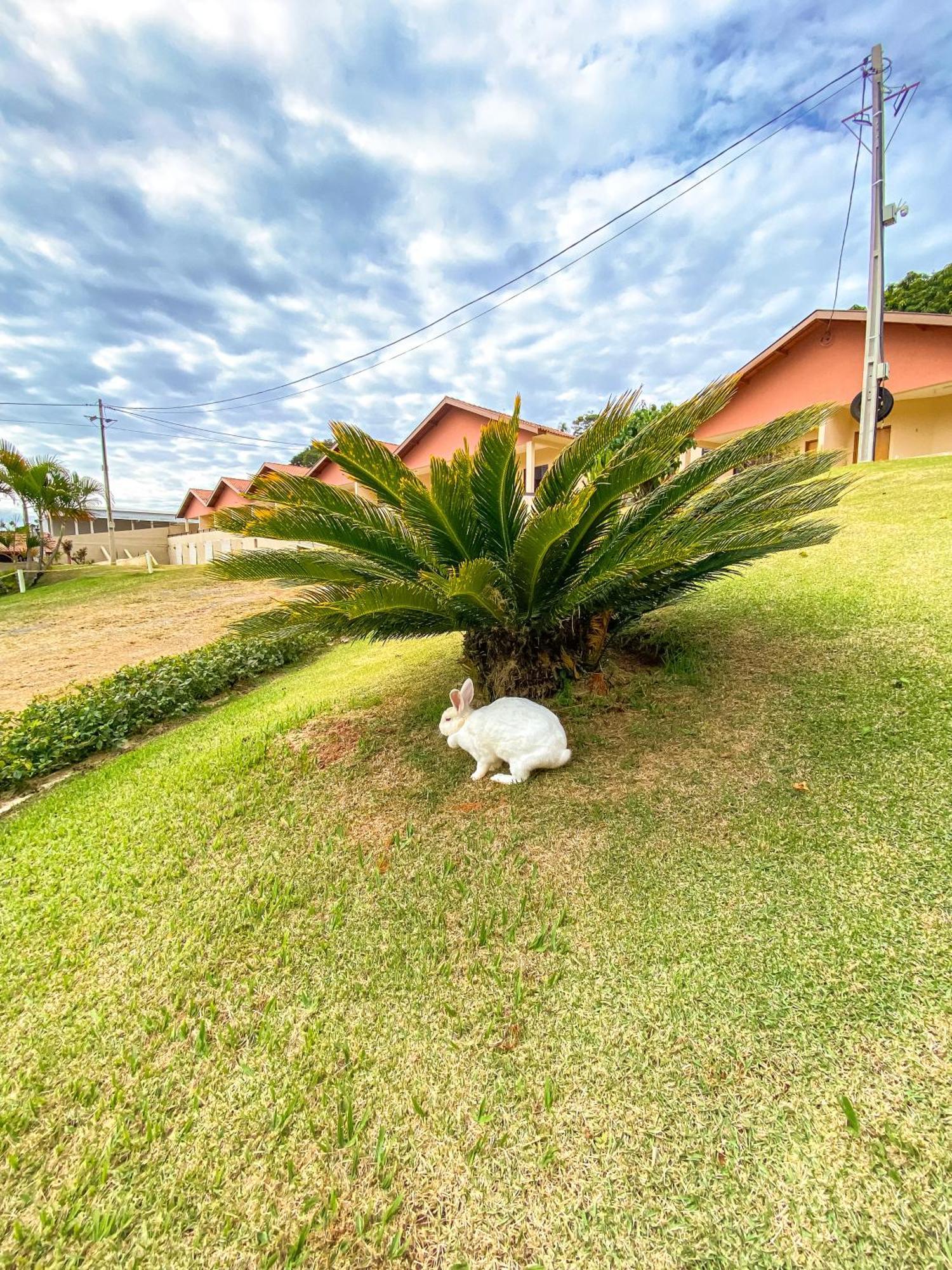 Pousada Flores Do Campo Águas de Lindóia المظهر الخارجي الصورة